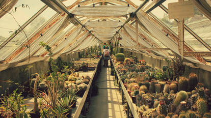 Cactus House