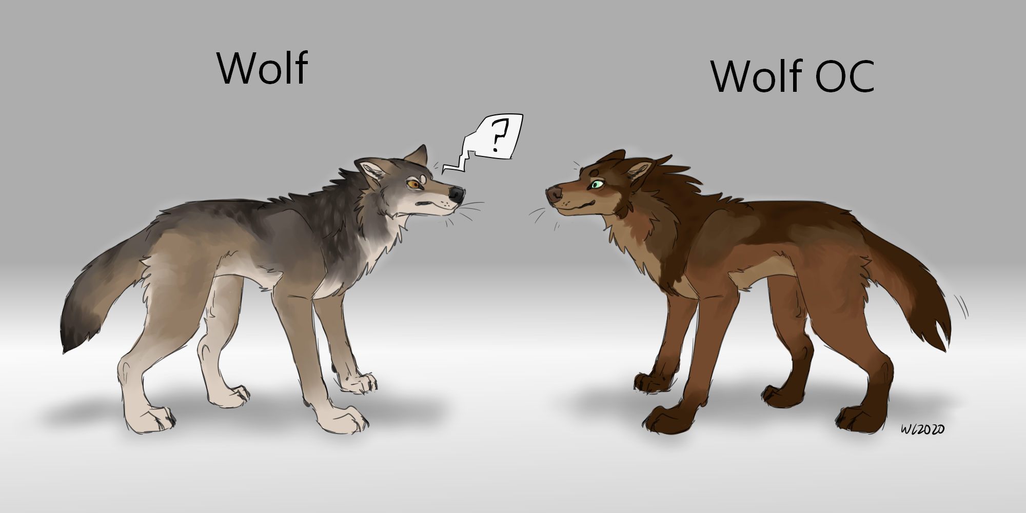 Deviantart Wolf