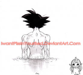 DBZ-Son Goku back- DragonBall