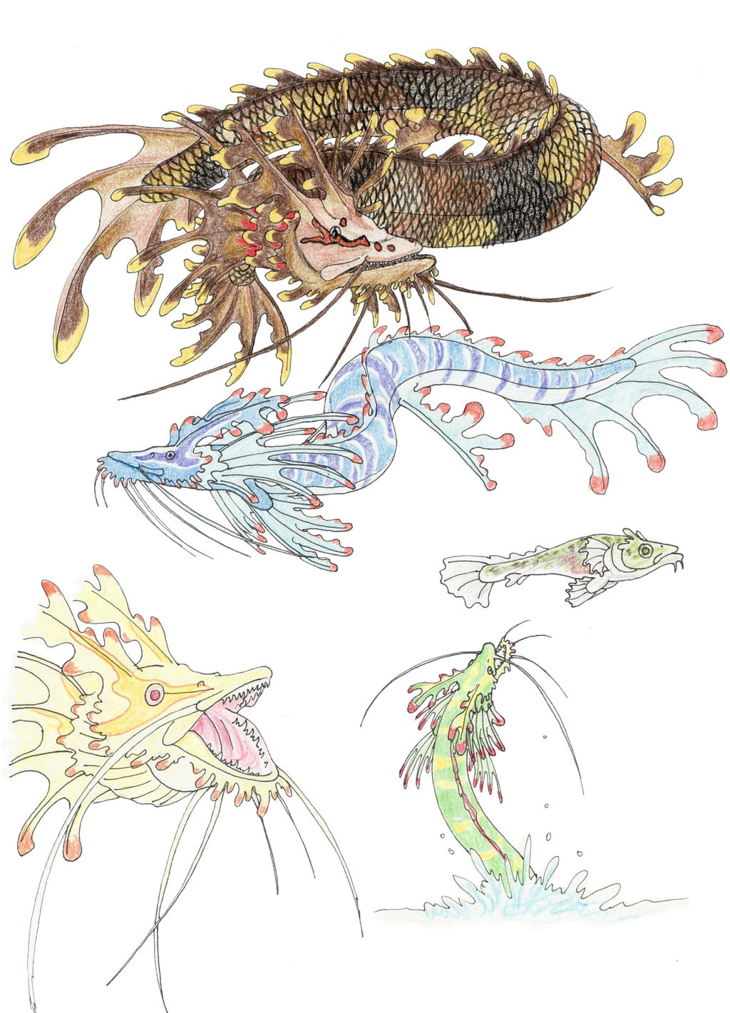 Japanese dragon eel Eastern Dragon by DragonlordRynn on DeviantArt