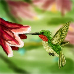 Hummingbird