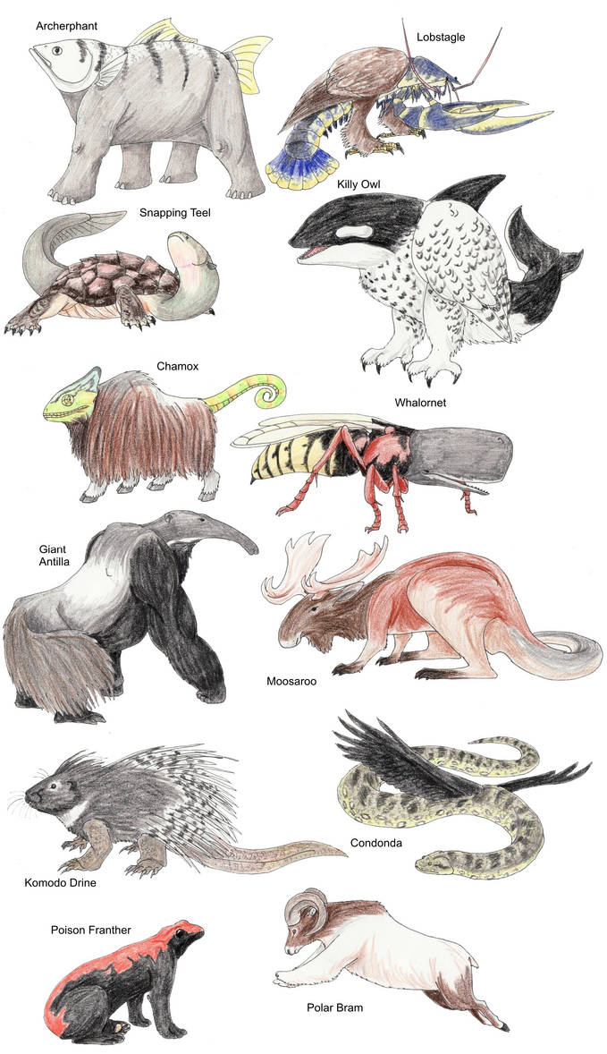 Most Complex Creature Impossible Creatures by DragonlordRynn on DeviantArt