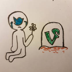 Social Media // R.I.P. Vine