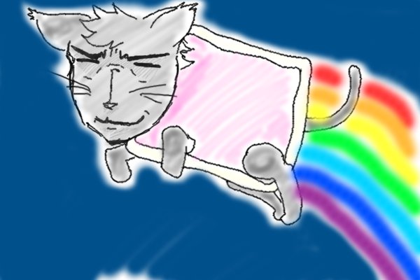 MY nyan cat