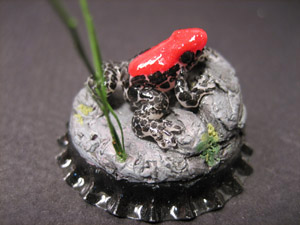 Frog on a bottlecap 2