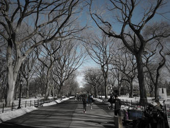 Central Park