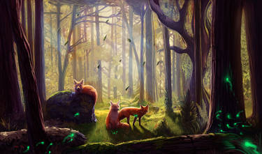 Foxes in a clearing