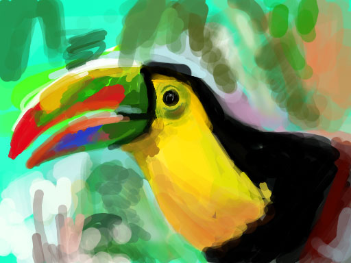 Colors - Toucan Sketch