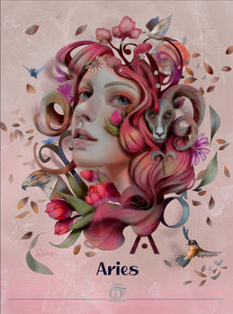 ARIES - Whimsical Collection