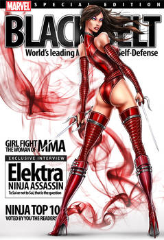 Elektra Ninja Assassin