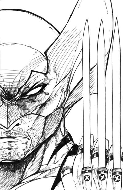 Wolverine Sketch Cover inks