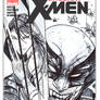 Wolverine Sketch Cover inks