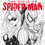 Black Cat + Spider-Man sketch cover commission