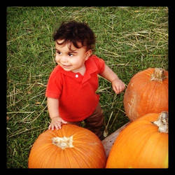 Picking my first pumpkin