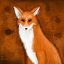 SunBurn Fox