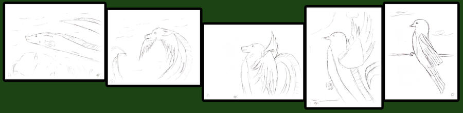 Project Evolution Deviantart Evolution Project by Voxian on DeviantArt