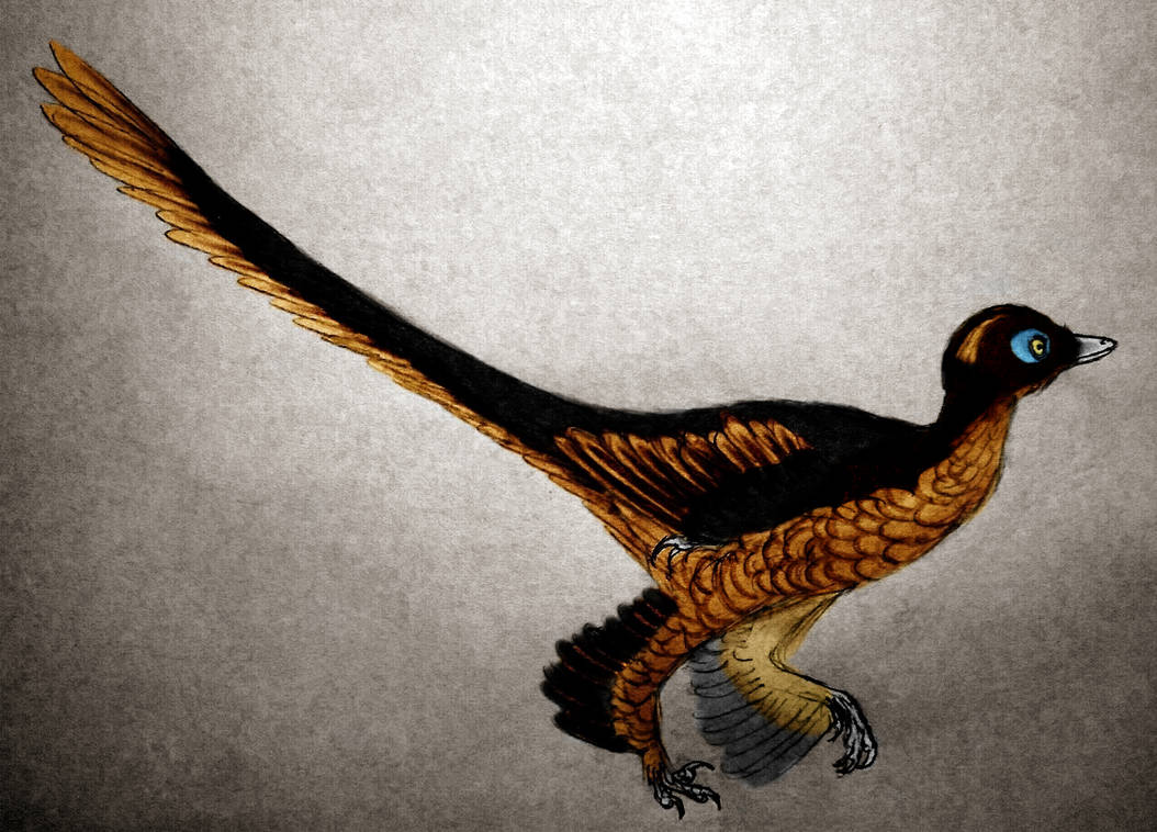 Птицы в древности. Археоптерикс чучело. Archaeopteryx lithographica. Древние птицы Археоптерикс. Протоавис.