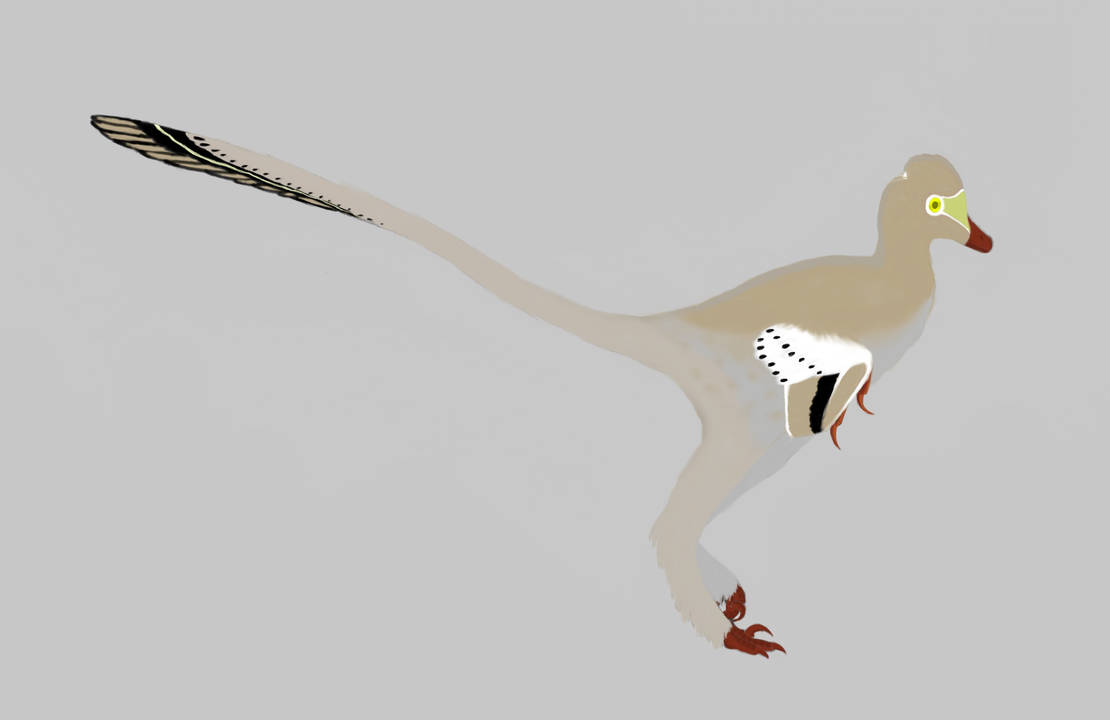 Hesperornithoides by Galliraptor on DeviantArt