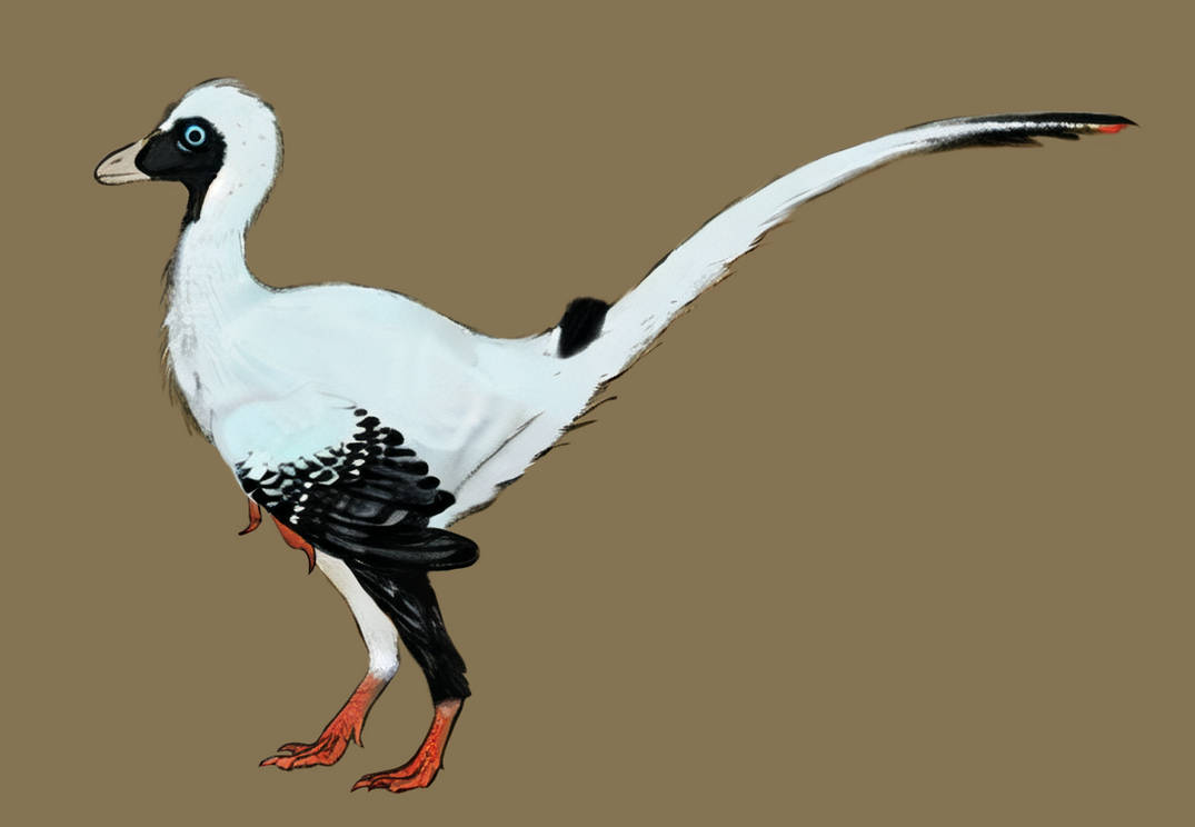 Fictional maniraptoran 1 by Galliraptor on DeviantArt