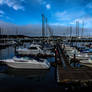 Newport Bay