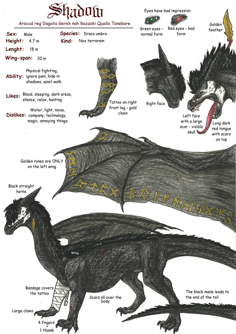 Shadow ~Character sheet~ by Tir-Goldeness on DeviantArt