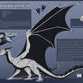 Xantherrogh ~ Reference Sheet