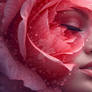 rose muse