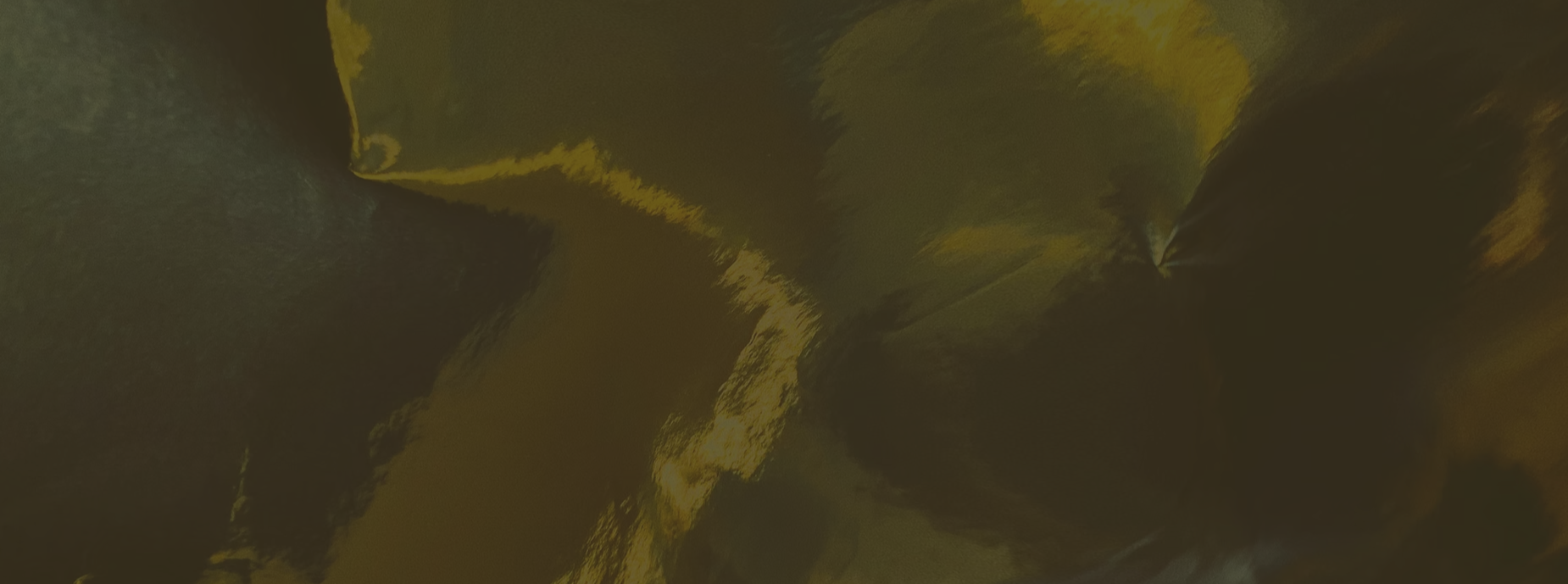 Screenshot (1)
