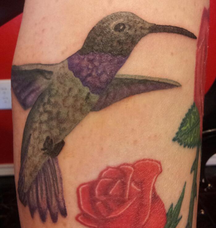 Hummingbird 2