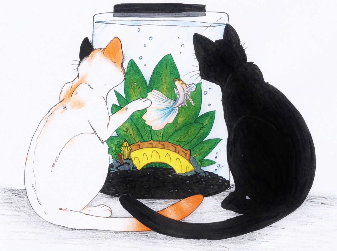 Kitties and fish