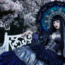 Gothic lady in sakura garden 8