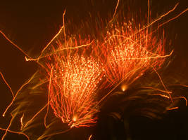 Fourth Of July Firework ^-^