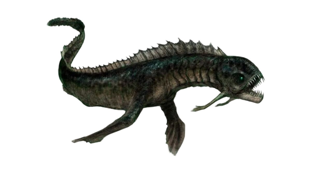 Piranhadon
