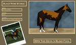 WBS The Devil's Blind Fool by BlackRoseStable
