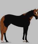 WBS The King's Gold by BlackRoseStable
