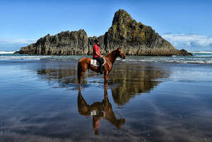 Karekare Beach Races