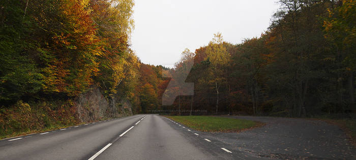 Autumnal road with side