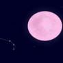 Pink moon