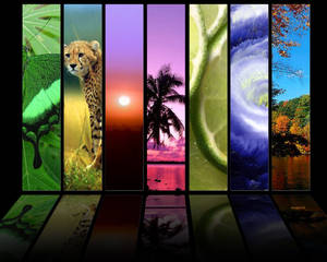spectrum of nature