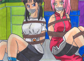 Videl y Sakura Haruno DID