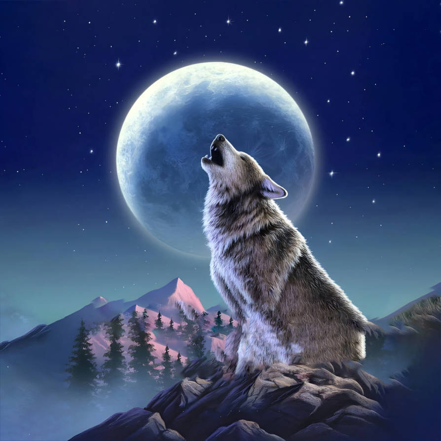 Красивый волк. Волк воет на луну. Воющий волк. Воющие животные на луну. Вою под луной песня