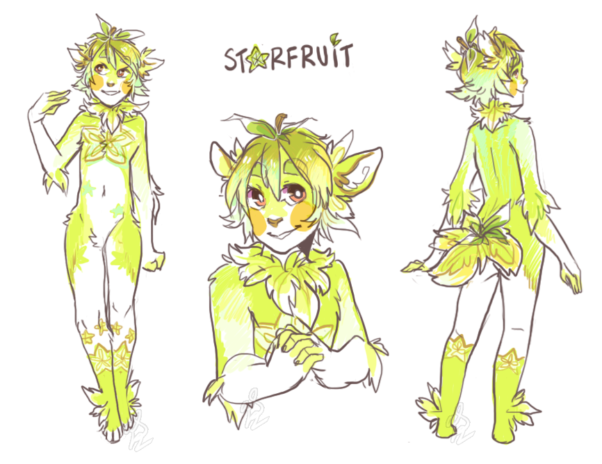 starfruit - ref