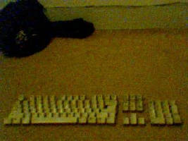 'Keyboard'