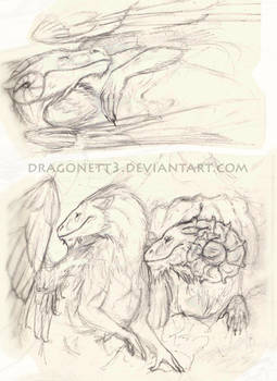 Dragon Sketches 2