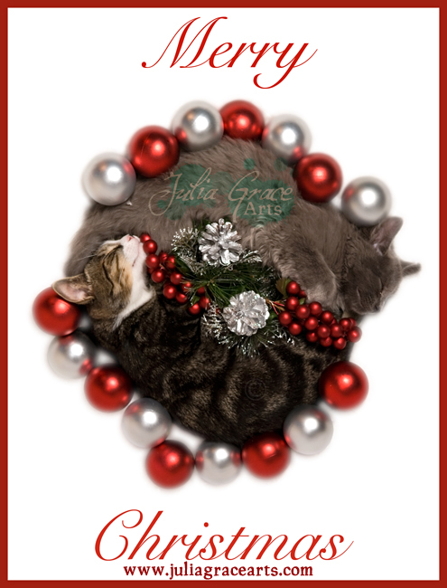 Merry Christmas Cat Wreath