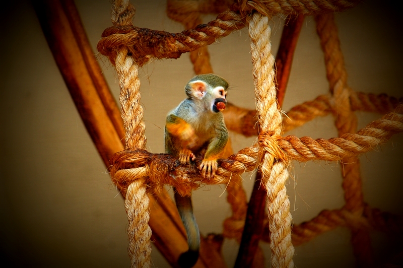 ZOO Opole, Poland