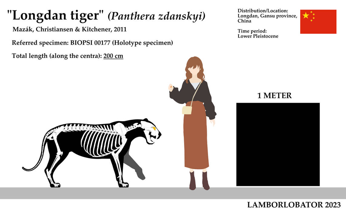 Longdan tiger (Panthera zdanskyi) skeletal by Lamborlobator on DeviantArt