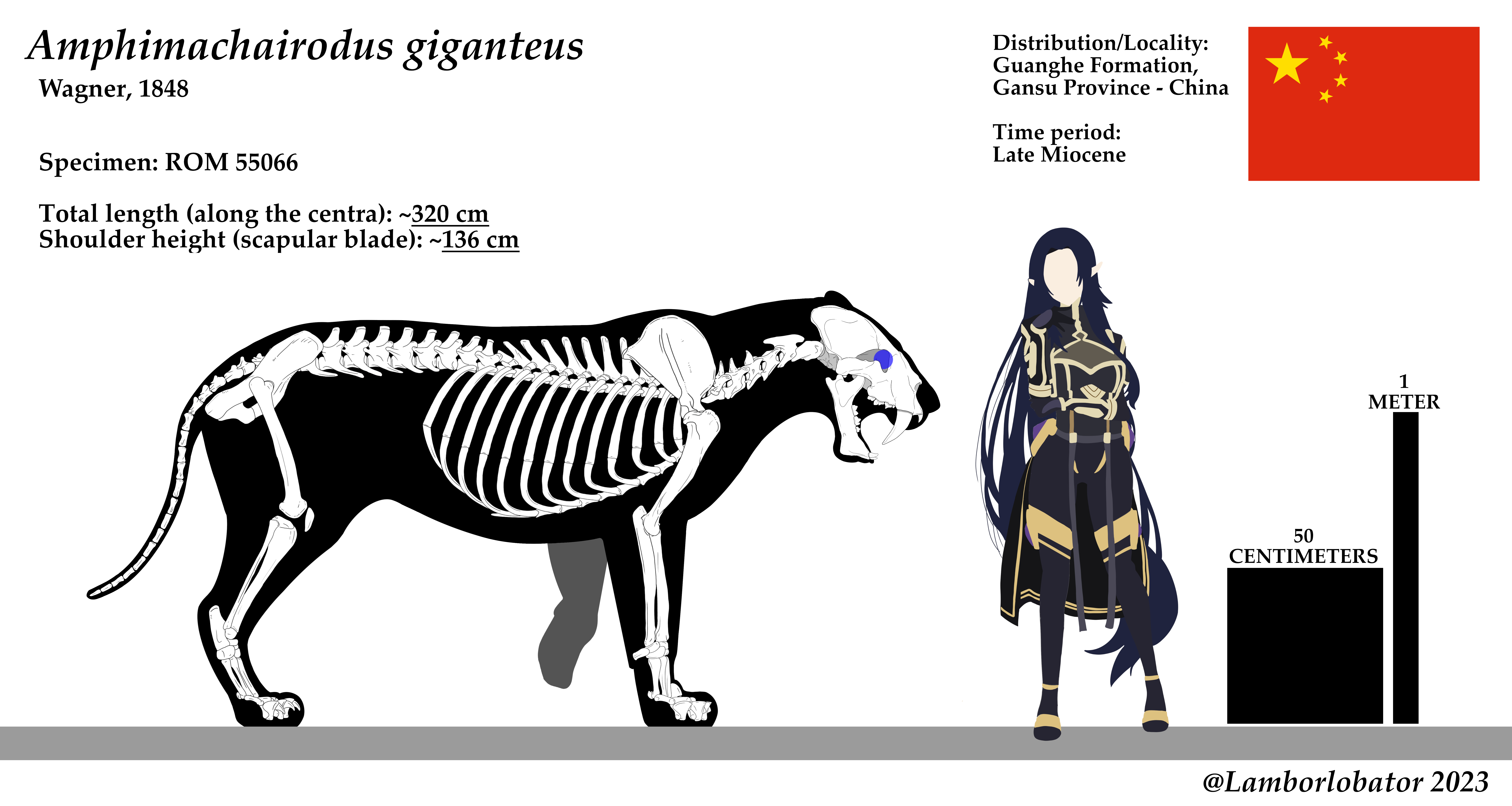 Sarkastodon and Bengal tiger (size comparison) by Rom-u on DeviantArt