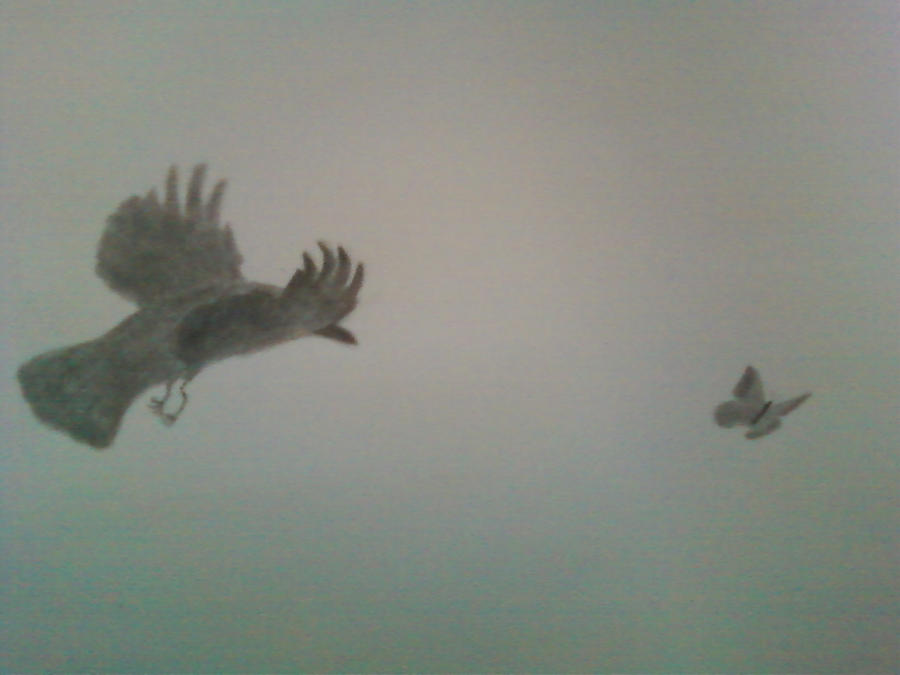 The Crow and The Butterfly by rayraylunlun on DeviantArt