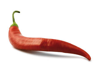 Chilli Vector